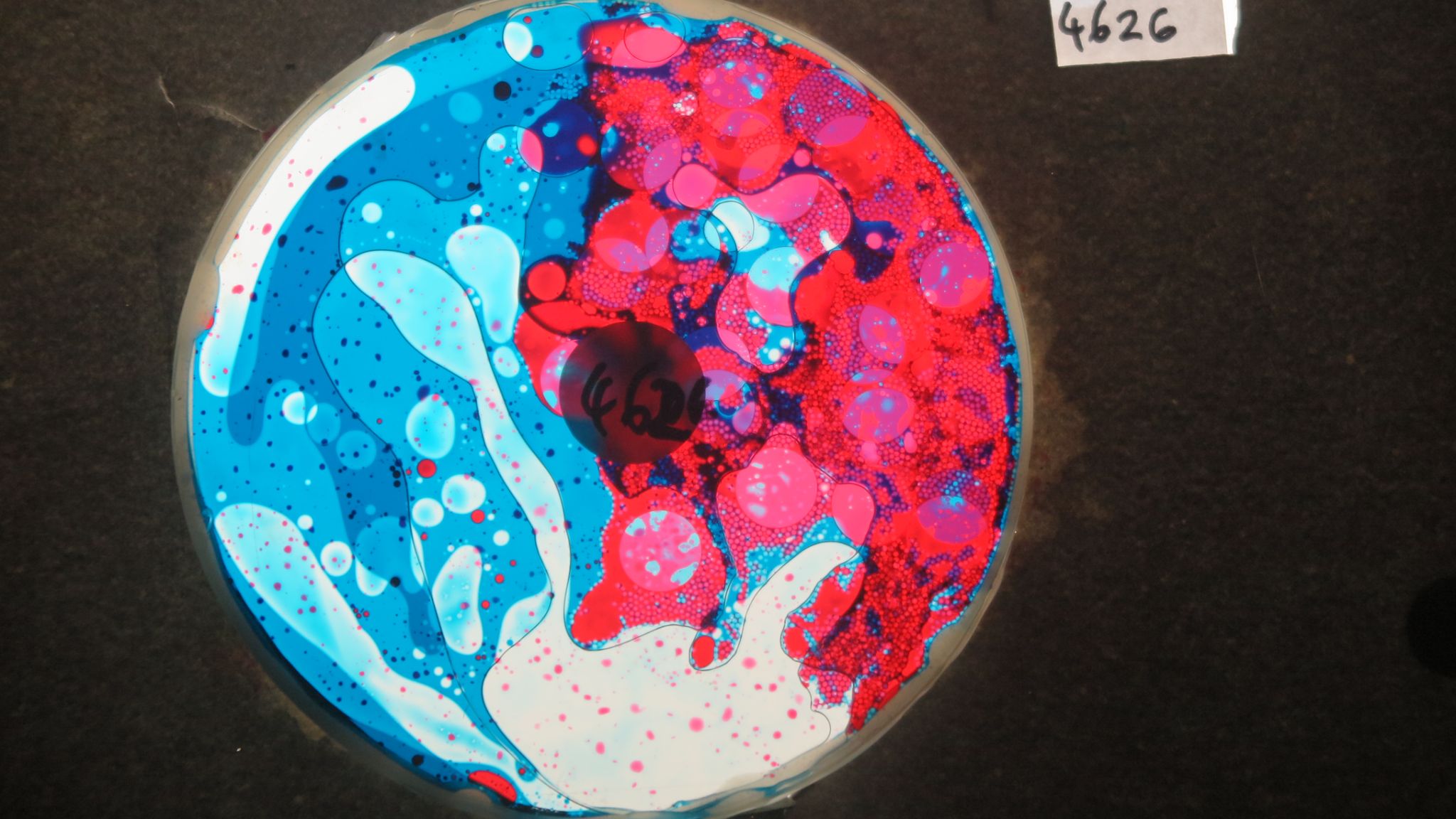 BV4626 bubble vision oil wheel